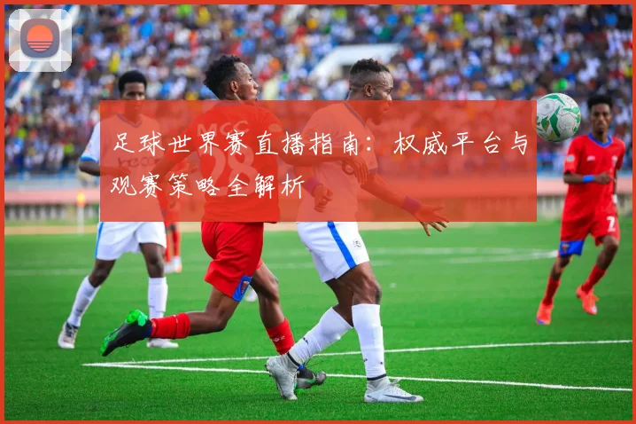 足球世界赛直播指南：权威平台与观赛策略全解析